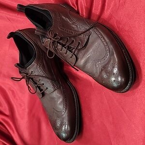 COLE HAAN GRANDSERIES derby wingtip brogue dk brown
